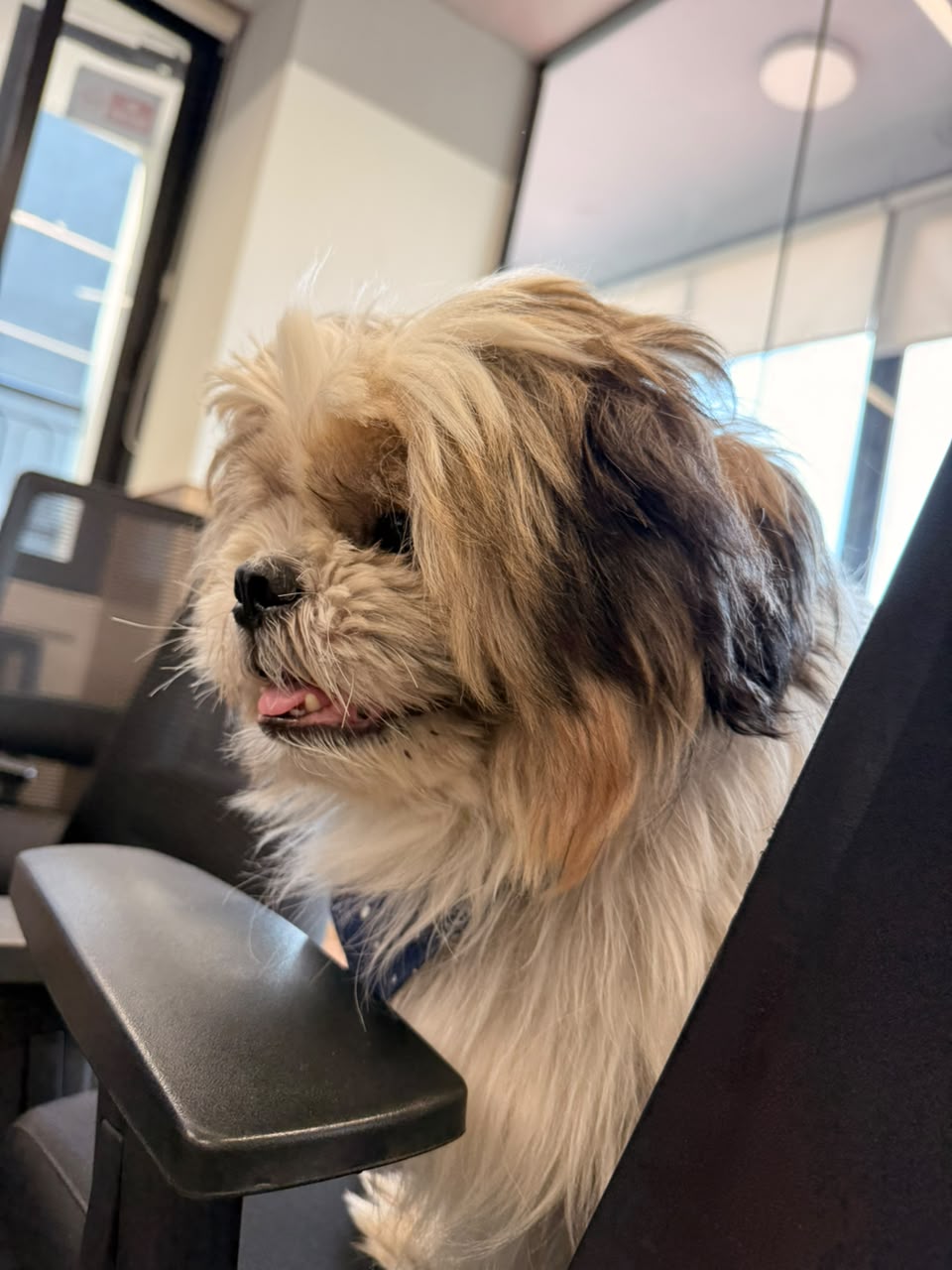 Pablo looking out
